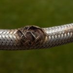 Burst Pipes and Flexi Hoses: Essential Tips from an Emergency Plumber