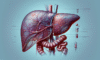Liver Blood Test Analysis in Tewkesbury: Key Insights