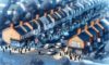 House Clearance Costs: Essential Guide for Negotiation in the UK