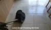 Grout Cleaners: Best Local Choices in Longcross