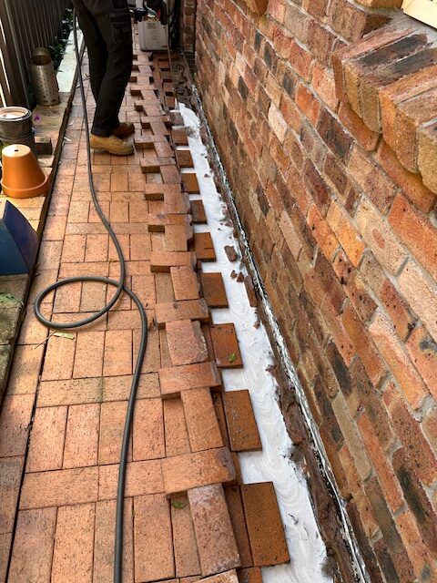 Termite Reticulation Systems: Effective Sydney Protection Solutions