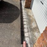 Termite Protection: How to Secure Coverage for Your Home