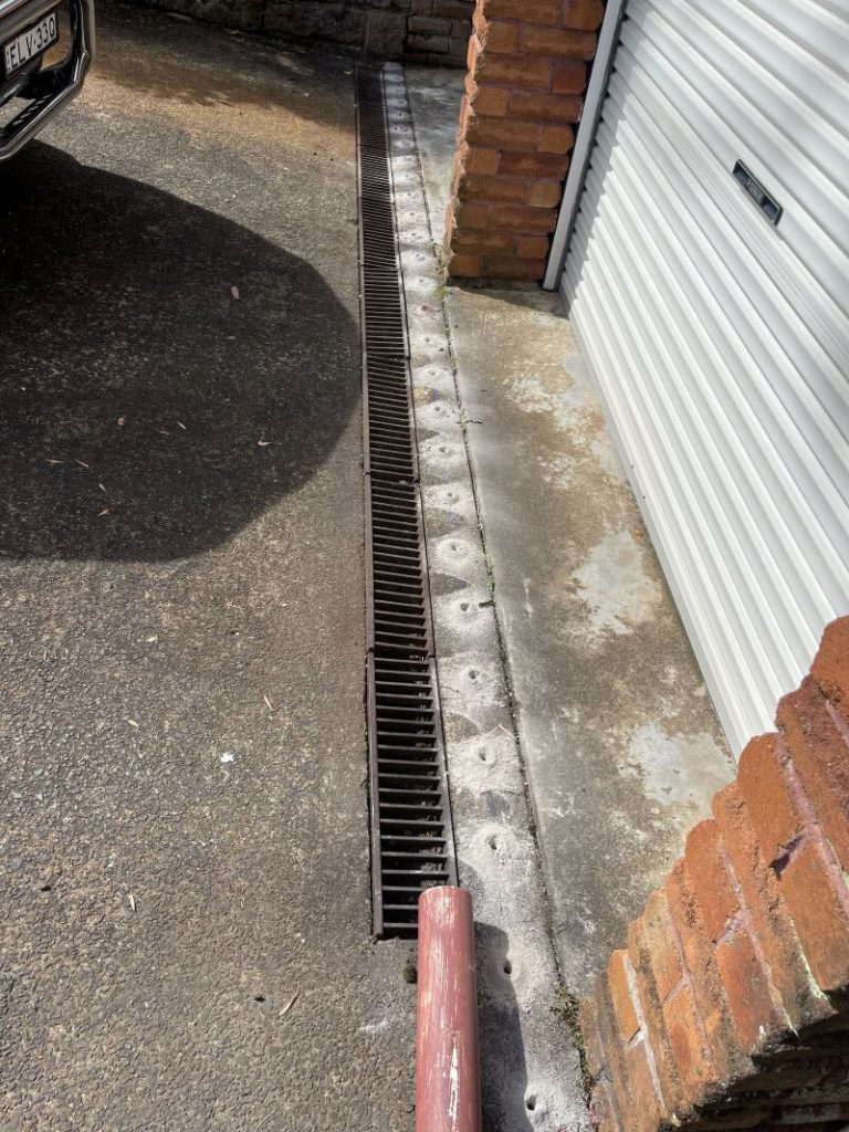 Termite Protection: How to Secure Coverage for Your Home