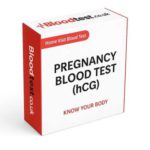Pregnancy Blood Test: Essential Insights for Leeds Locals