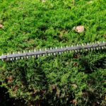 Hedge Trimming Tips for Gorgeous Gardens in West Coker