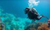 Big Blue Hole Diving Guide: Essential Tips for Belize Explorers