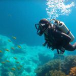 Big Blue Hole Diving Guide: Essential Tips for Belize Explorers