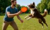 Frisbee Techniques to Train Your Dog Effectively Today!