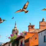 Bird Watching Tips for San Miguel De Allende Enthusiasts