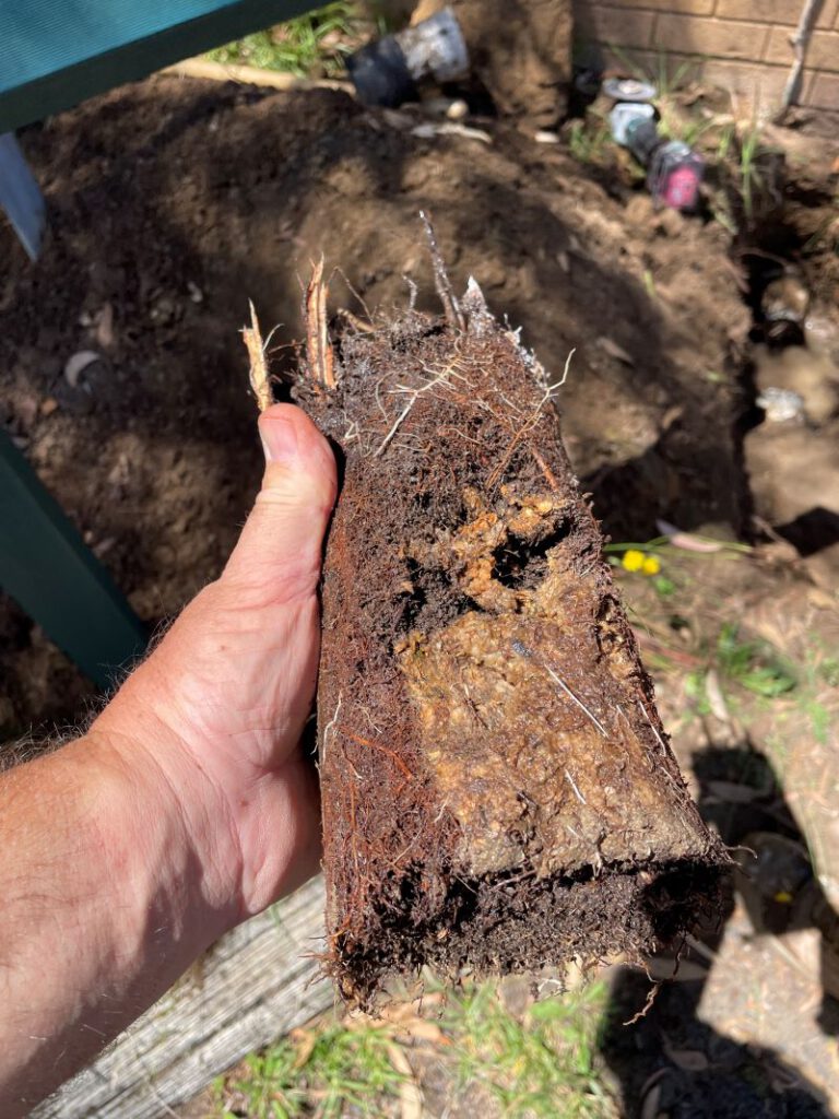 Clay Soil’s Effects on Caboolture’s Plumbing Systems