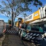 Crane-Assisted Tree Removal Insights from Edgeworth