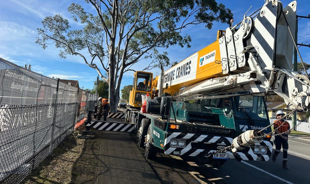 Crane-Assisted Tree Removal Insights from Edgeworth