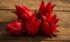 Hibiscus Flowers: Creative Cooking Techniques to Try